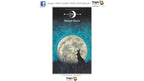 Dragon Tarot card 'Moon Hare' (29) featuring a full moon and a rabbit silhouette against a starry night sky, shown on a white background with Dragon Tarot branding.