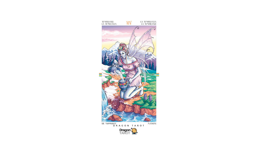 Wheel of the Year Tarot | ไพ่ทาโรต์
