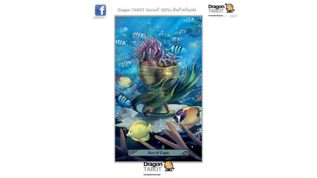 Mermaid Tarot Kit | ไพ่ทาโรต์ พร้อมหนังสือคู่มือ