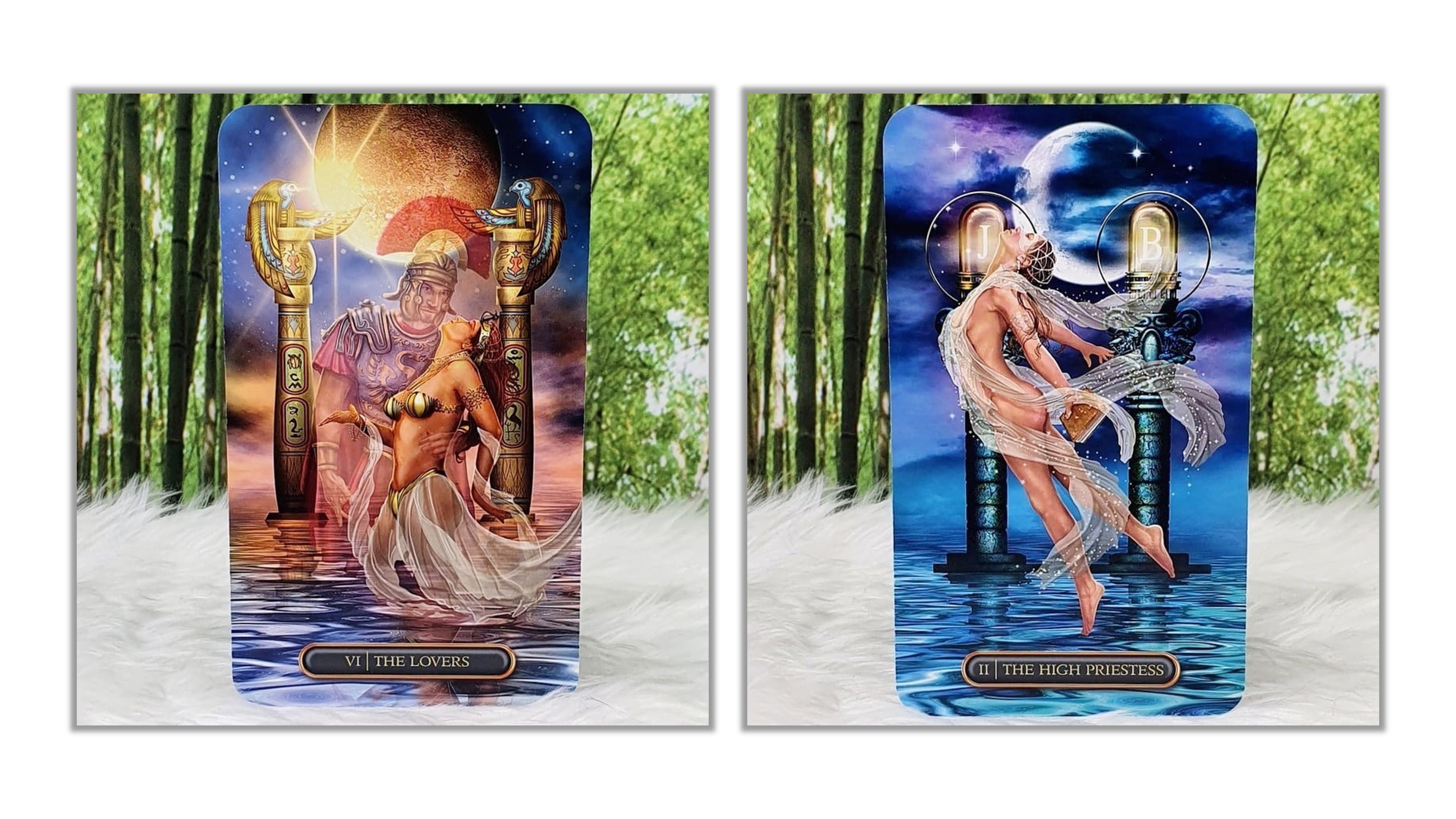 Two tarot cards displayed side by side against a forest and white faux-fur backdrop. The left card shows a crowned woman seated with a scepter and shield, labeled 'Wit, the Knowers.