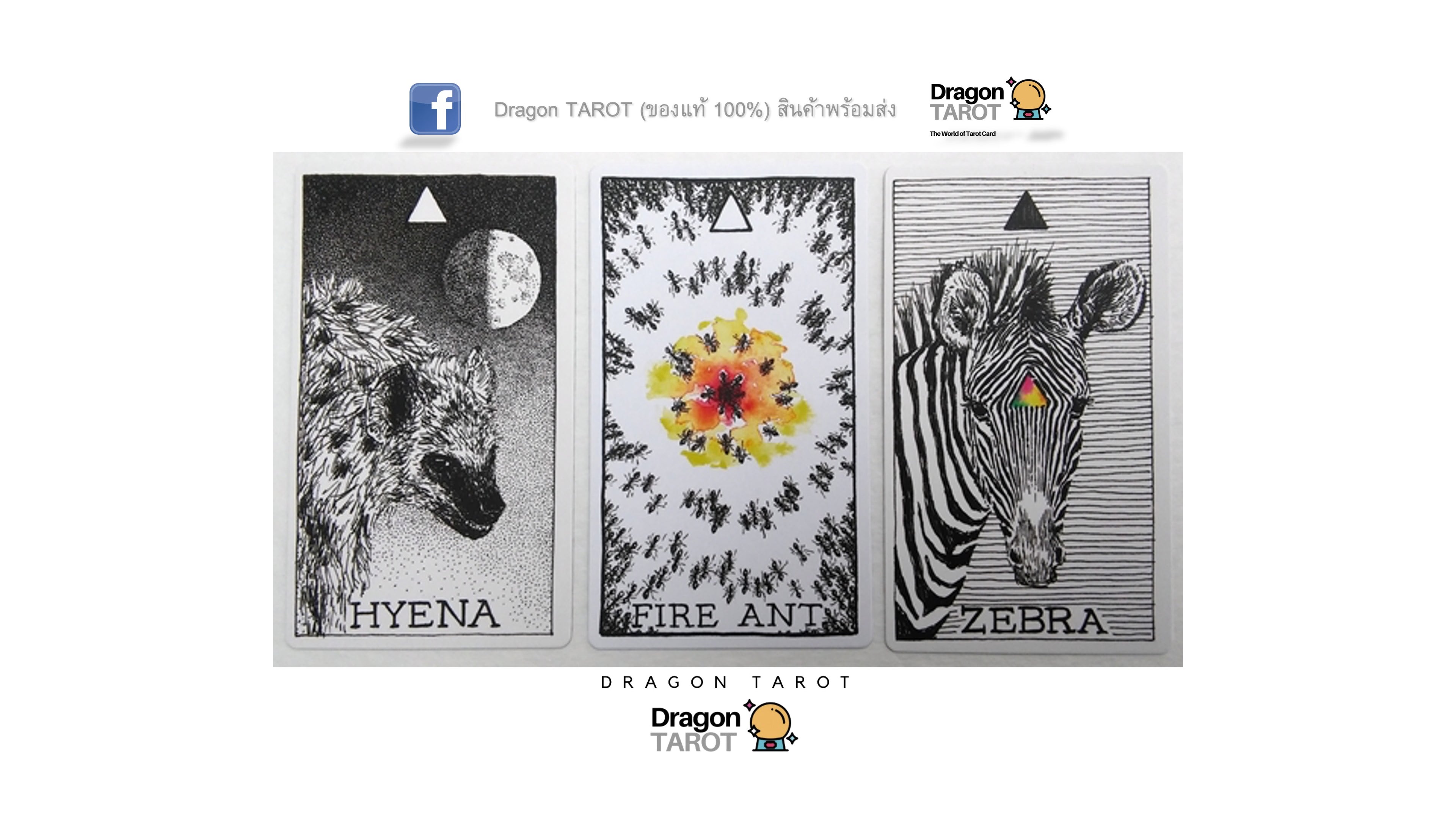 Wild Unknown Animal Spirit Deck and Guidebook, The | ไพ่ออราเคิล พร้อมหนังสือคู่มือ