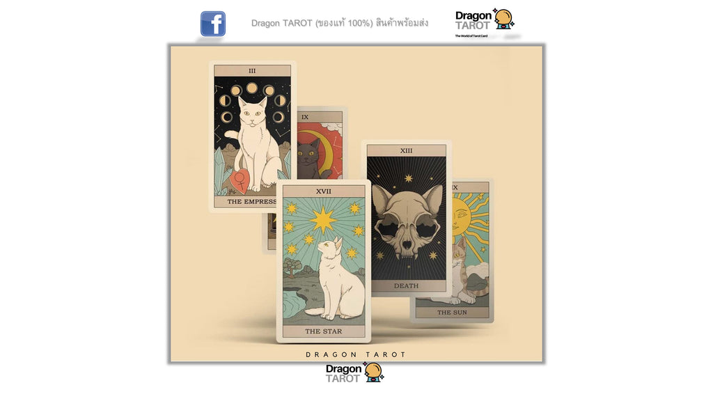 Cats Rule the Earth Tarot | ไพ่ทาโรต์