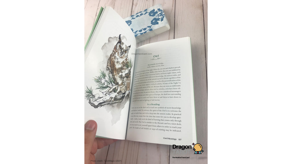 Winterseer Animal Oracle | ไพ่ออราเคิล พร้อมหนังสือคู่มือ