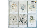 A set of six Dragon Tarot cards arranged in a 2x3 grid on a light blue textured background. The cards feature minimalist watercolor-style illustrations of an owl, a crystal, a shell, a flower, geometric forms, and a Buddha portrait.