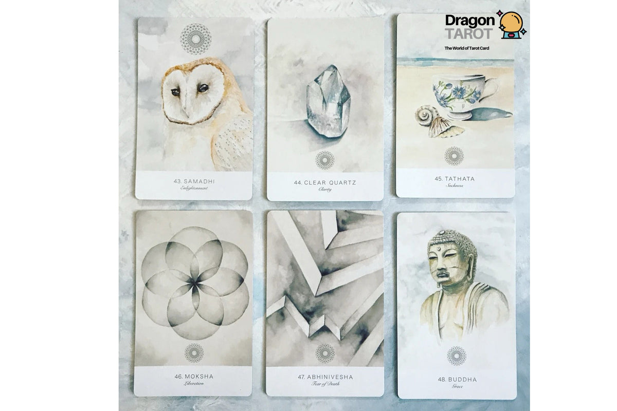 A set of six Dragon Tarot cards arranged in a 2x3 grid on a light blue textured background. The cards feature minimalist watercolor-style illustrations of an owl, a crystal, a shell, a flower, geometric forms, and a Buddha portrait.