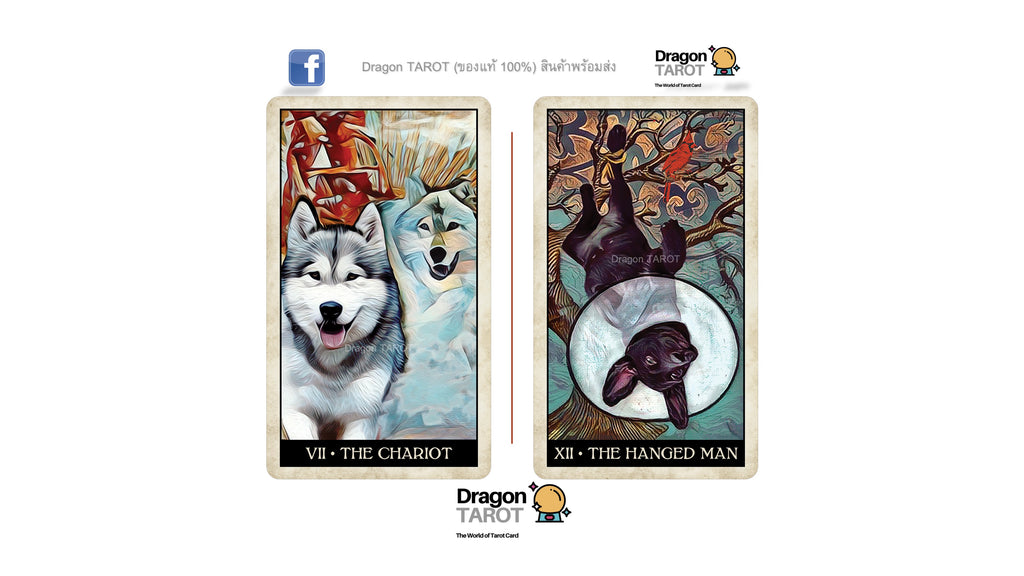 Wise Dog Tarot | ไพ่ทาโรต์