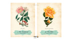Oracle of The Roses | ไพ่ออราเคิล ขอบไพ่สีแดง