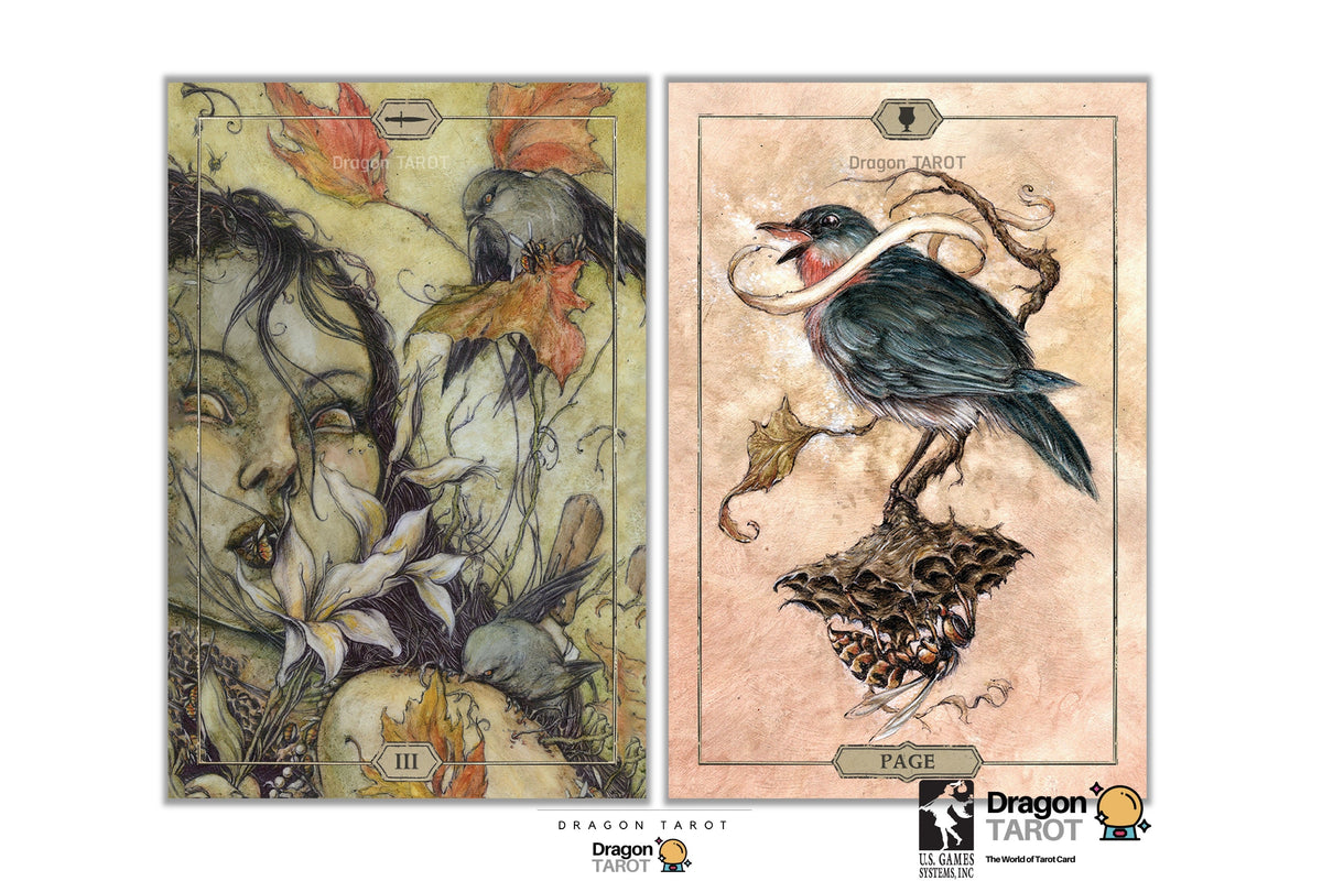 Two Dragon Tarot card back designs shown side by side on a white background, with the Dragon Tarot logo at the bottom.