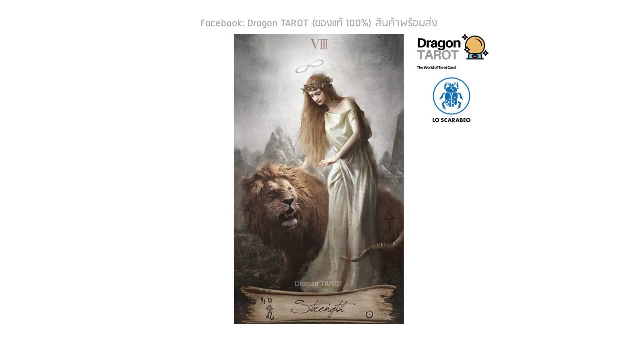 Heaven and Earth Tarot Kit | ไพ่ทาโรต์กล่องใหญ่