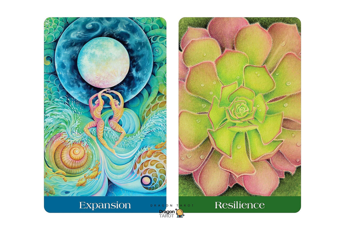 Two illustrated oracle cards shown side by side on a white background. The left card is labeled "Expansion" and depicts a fantasy scene with a large moon, swirling blue waves, and two small figures.