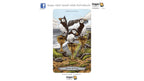 Animal Totem Tarot Kit | ไพ่ทาโรต์ พร้อมหนังสือคู่มือ