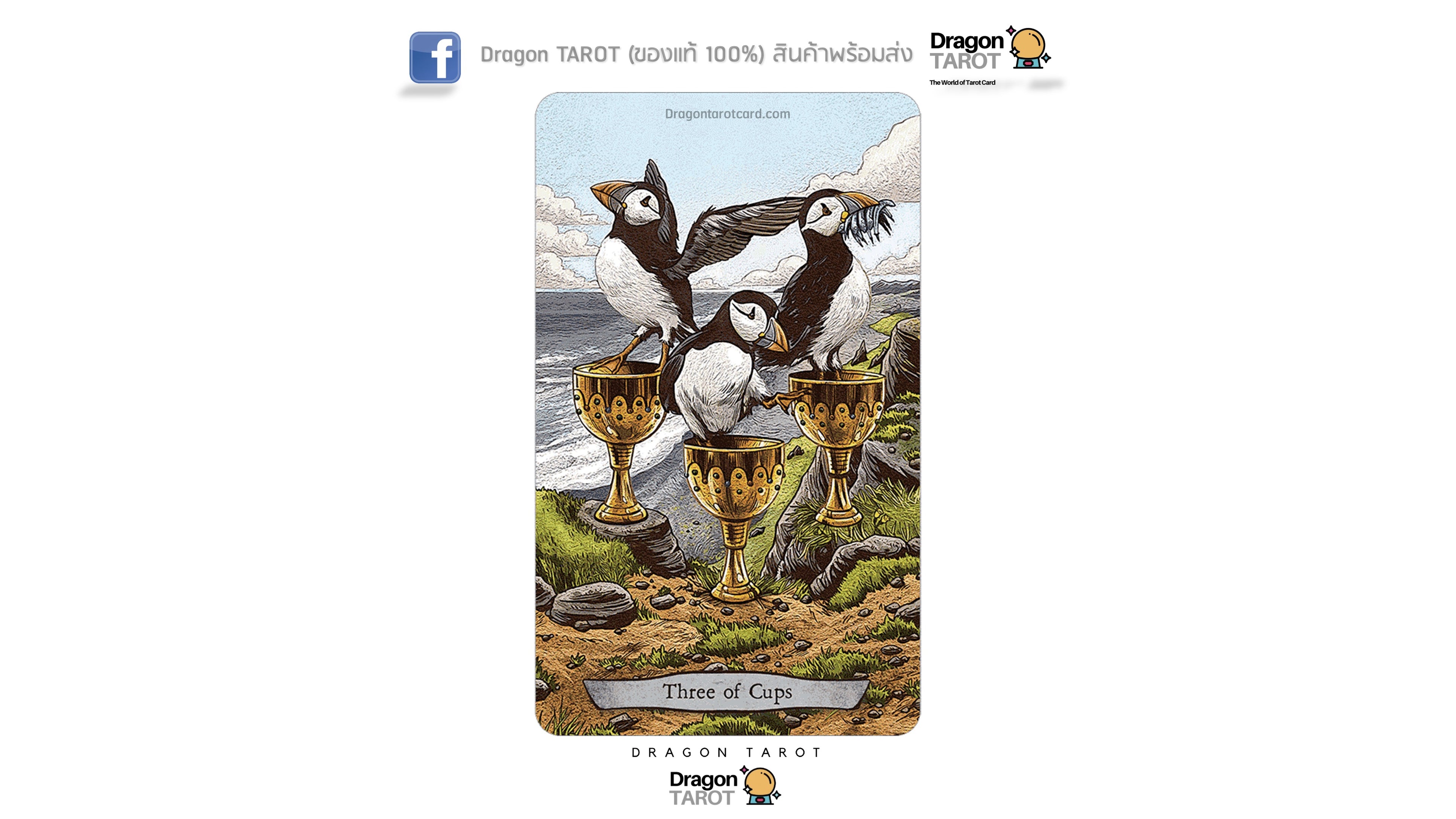 Animal Totem Tarot Kit | ไพ่ทาโรต์ พร้อมหนังสือคู่มือ