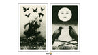 Murder of Crows Tarot Mini | ไพ่ทาโรต์ขนาด Mini