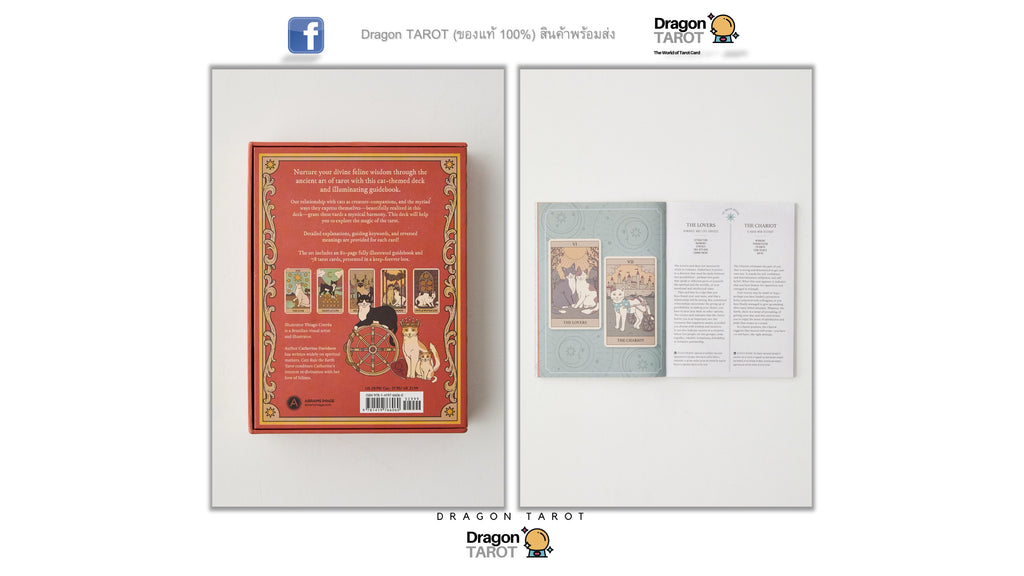 Cats Rule the Earth Tarot | ไพ่ทาโรต์