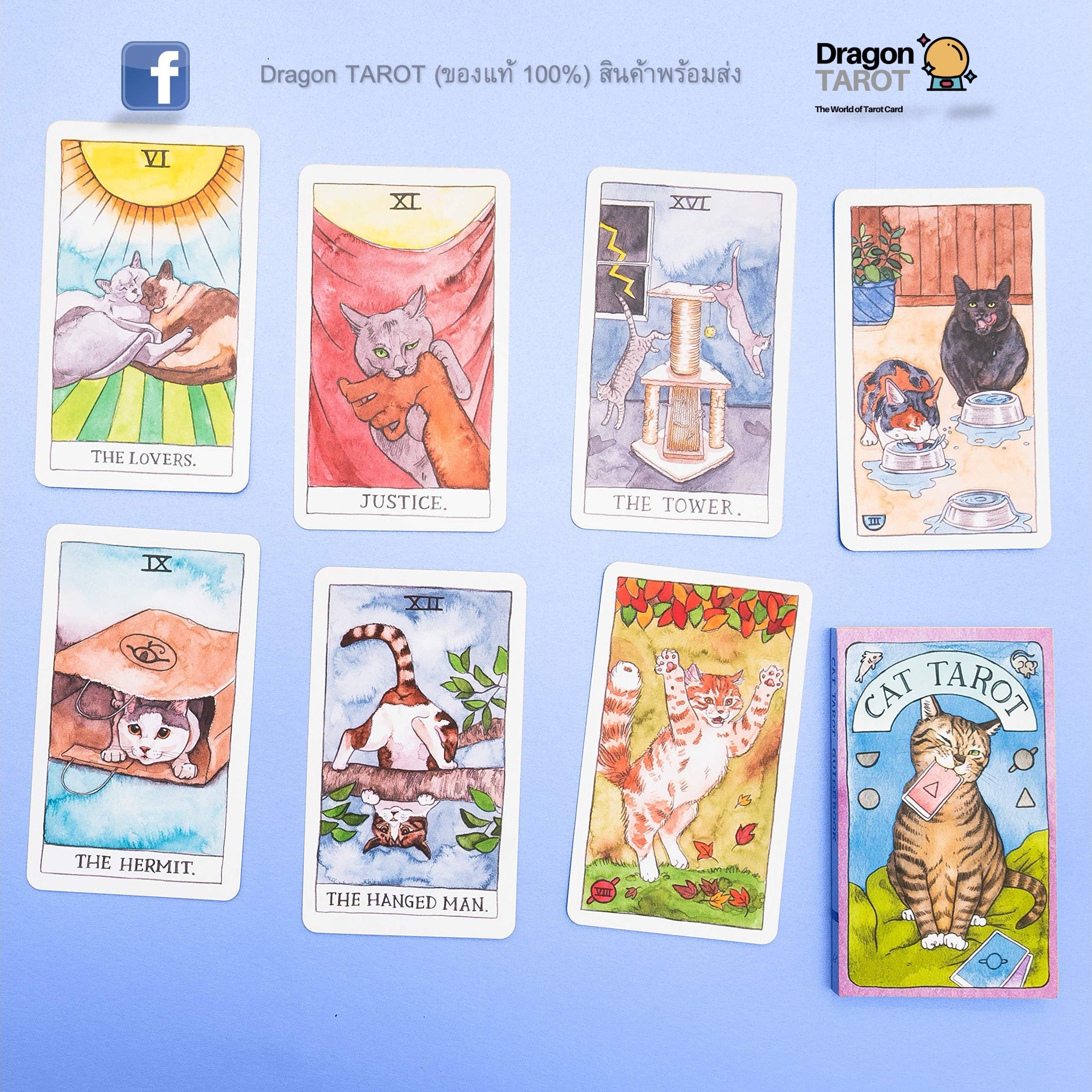 Cat Tarot | ไพ่ทาโรต์