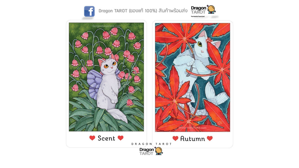 Affirmations of the Fairy Cats Deck and Book Set | ไพ่ออราเคิล