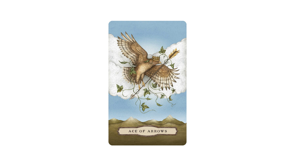 Tarot of the Woodland Wardens | ไพ่ทาโรต์ พร้อมหนังสือคู่มือ