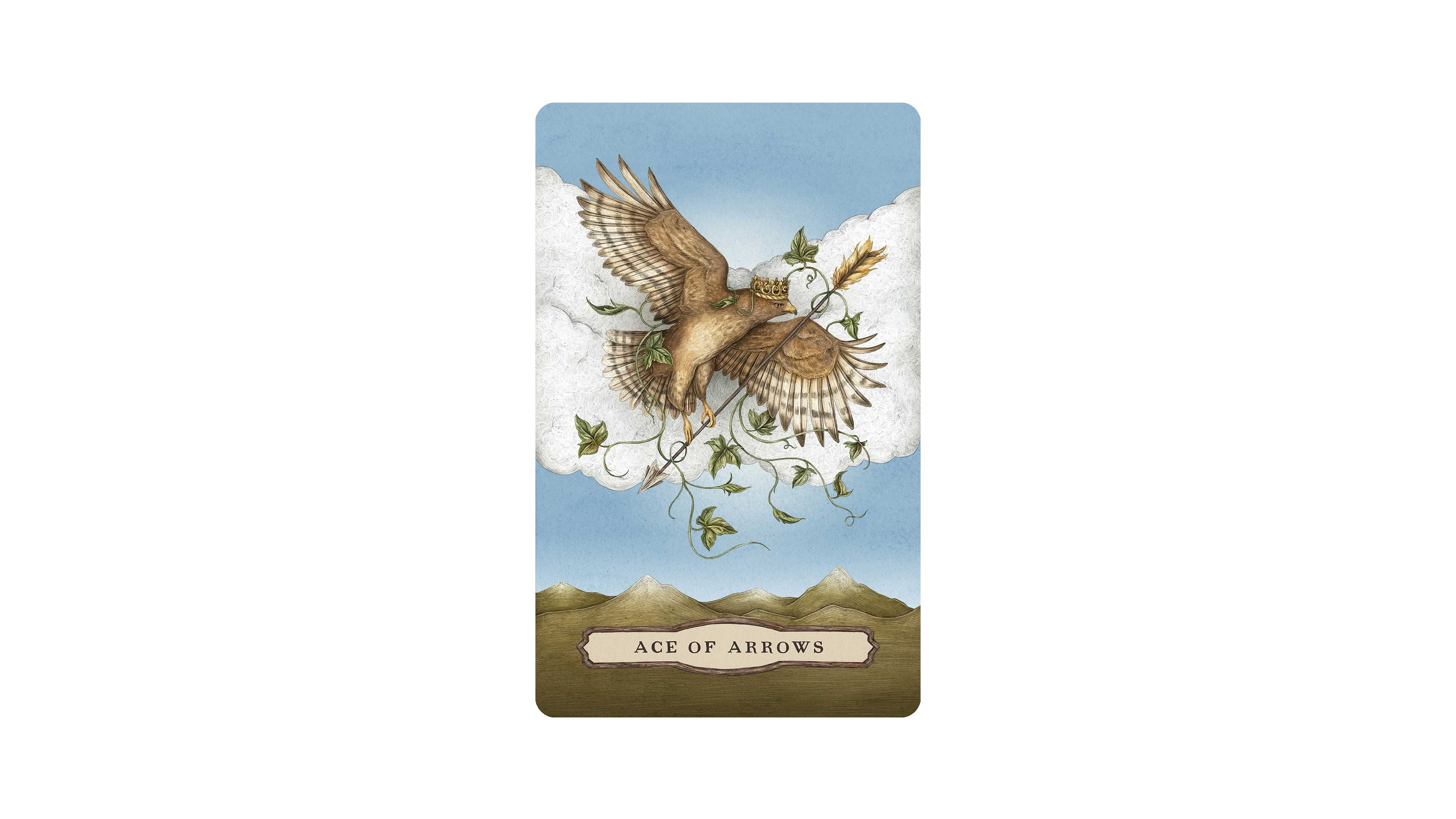 Tarot of the Woodland Wardens | ไพ่ทาโรต์ พร้อมหนังสือคู่มือ