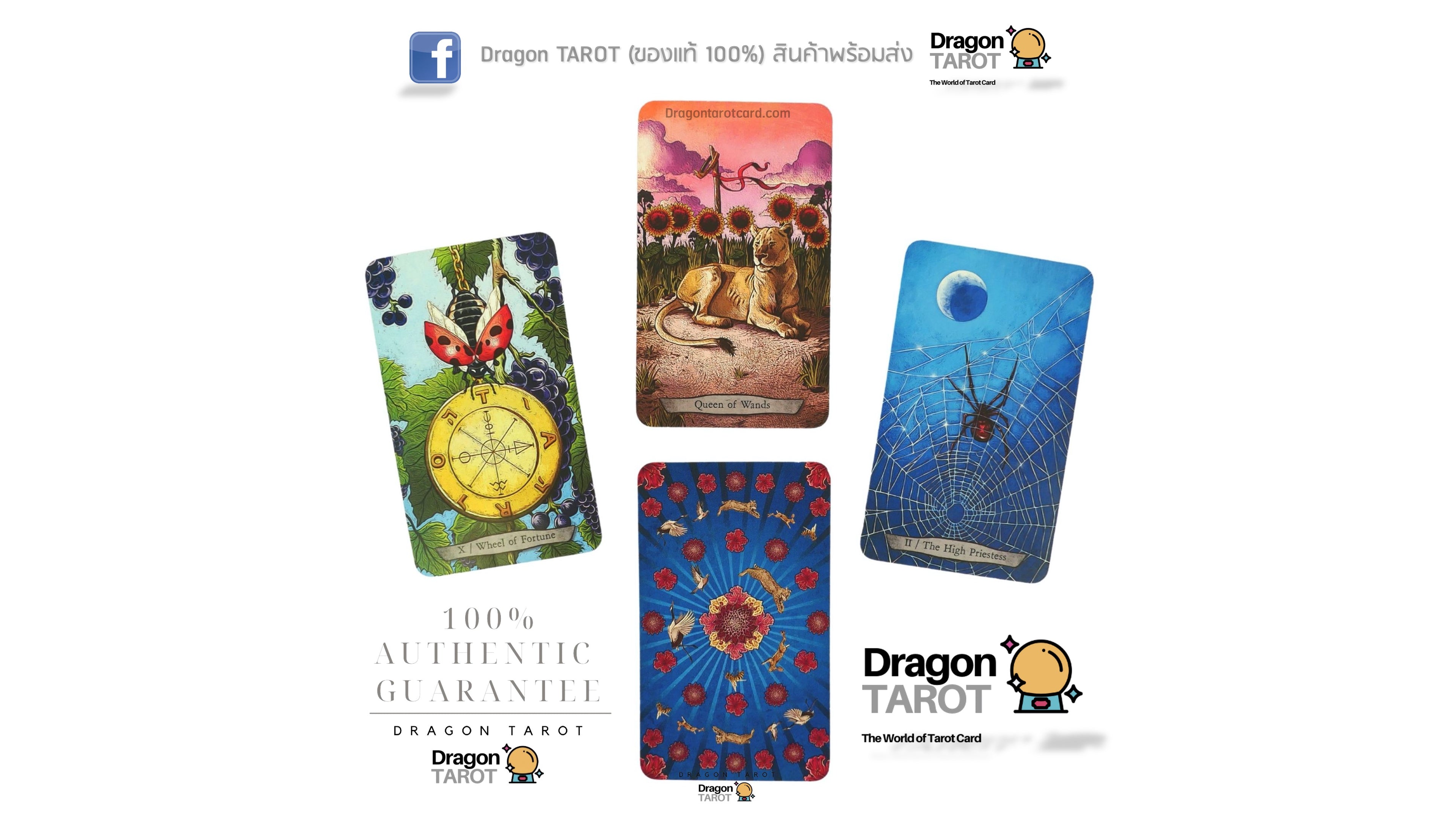 Animal Totem Tarot Kit | ไพ่ทาโรต์ พร้อมหนังสือคู่มือ
