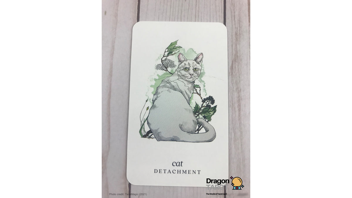 Winterseer Animal Oracle | ไพ่ออราเคิล พร้อมหนังสือคู่มือ