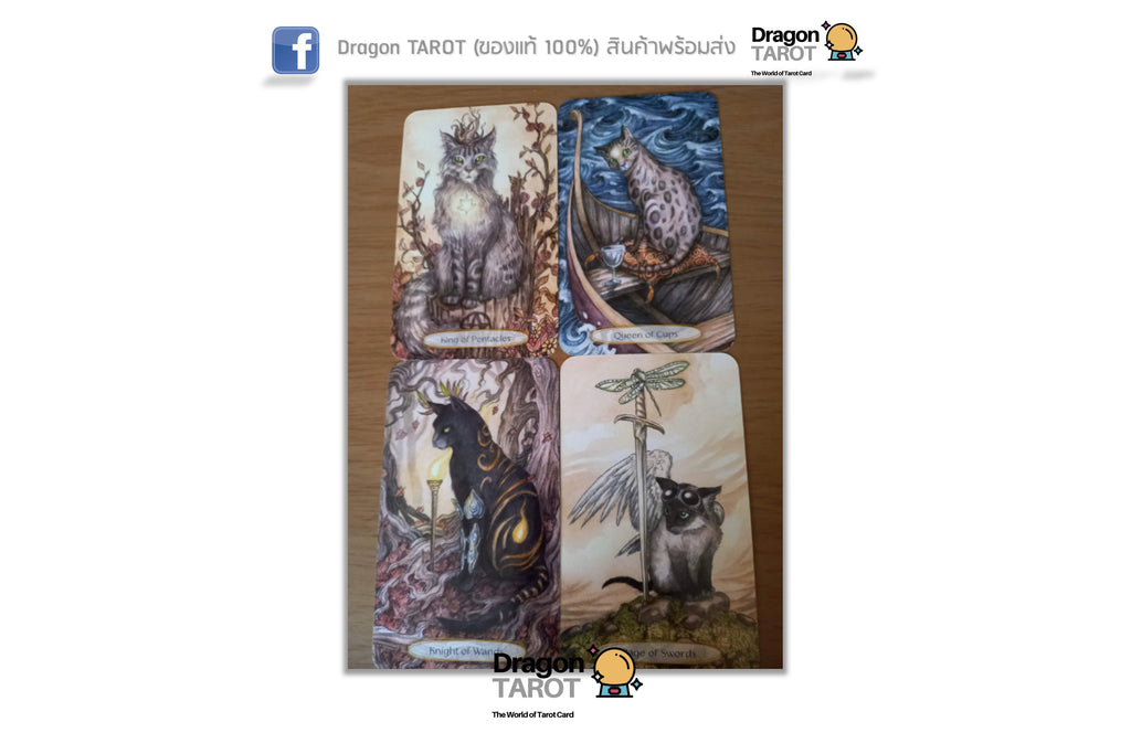 Soul Cats Tarot Kit | ไพ่ทาโรต์ พร้อมหนังสือคู่มือ