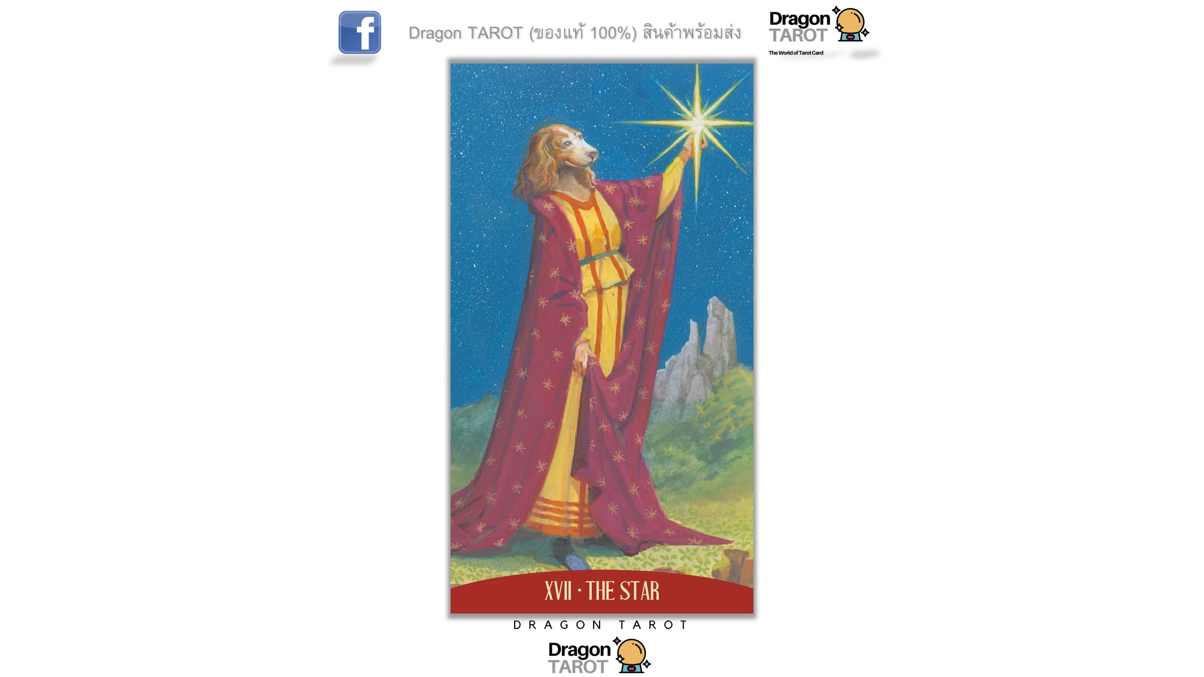 Royal Animals Tarot | ไพ่ทาโรต์