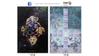 A Dragon Tarot deck set shown with two printed cards: one card features a dark cosmic background with a central tarot symbol and wolf illustrations, and the other card is a light blue instruction or information card with multiple small labeled boxes and decorative floral elements.