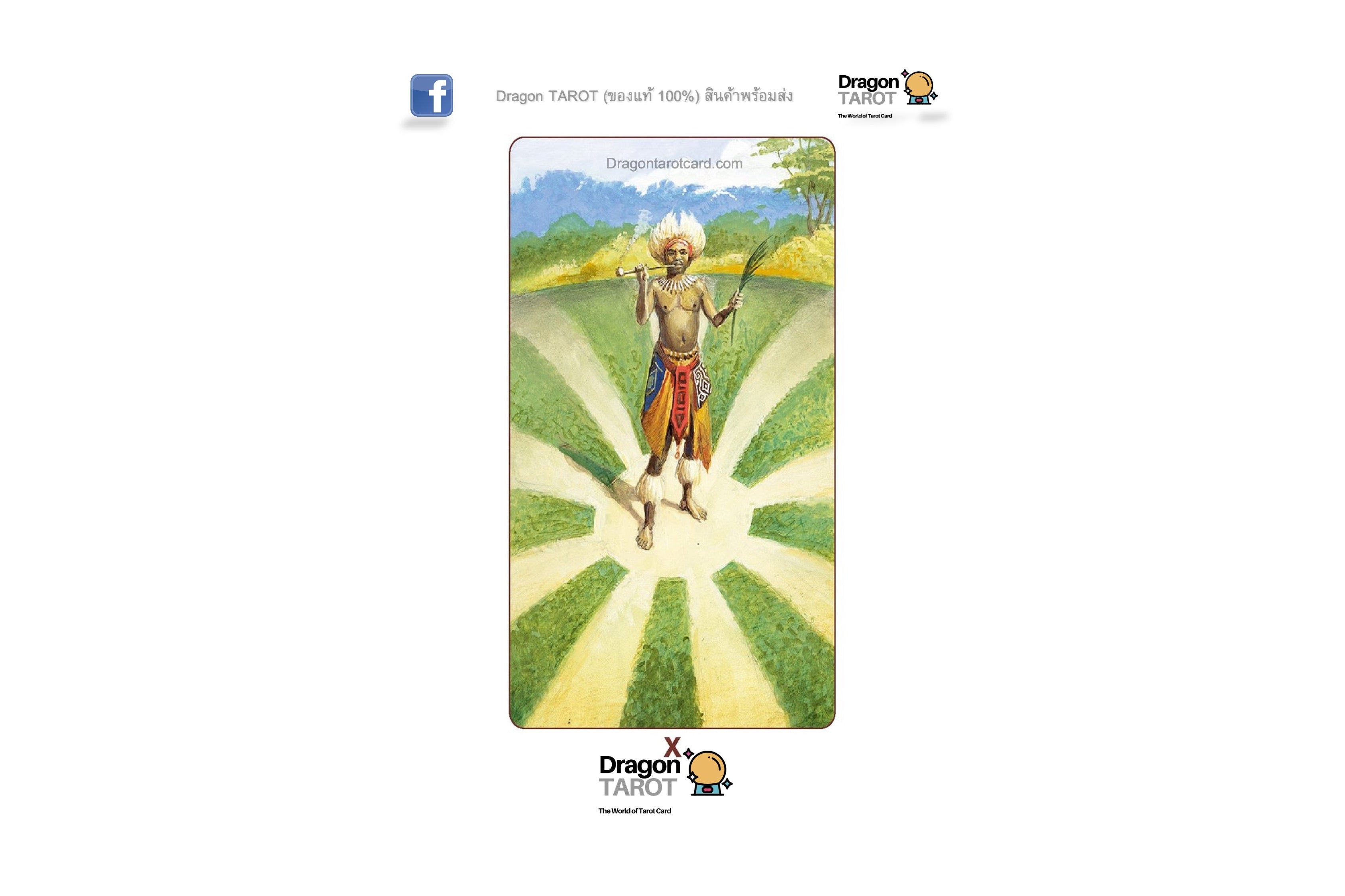 African American Tarot Mini | ไพ่ทาโรต์ ขนาดพกพา