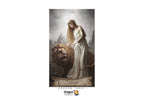 Heaven and Earth Tarot Kit | ไพ่ทาโรต์ พร้อมหนังสือคู่มือ