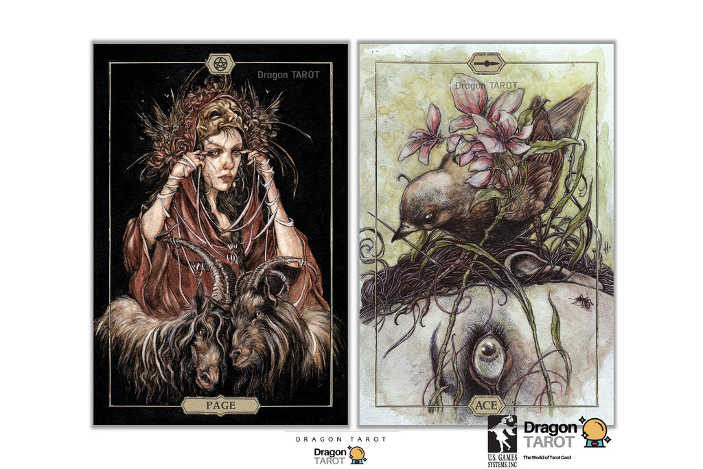 Two Dragon Tarot cards displayed side by side on a white background. The left card, 'Dragon Tarot' (Page), features a dark illustration of a woman with a dragon at her side.