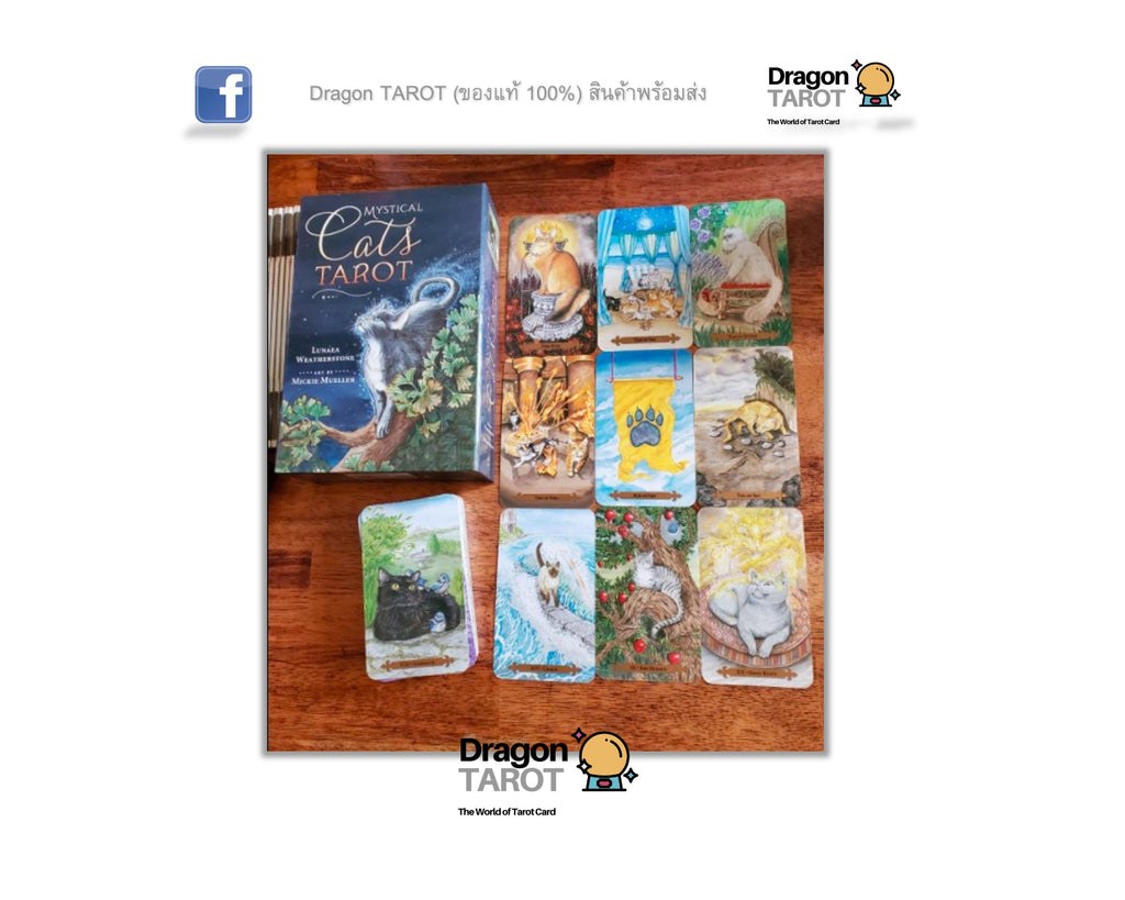 Mystical Cats Tarot Kit | ไพ่ทาโรต์ พร้อมหนังสือคู่มือ