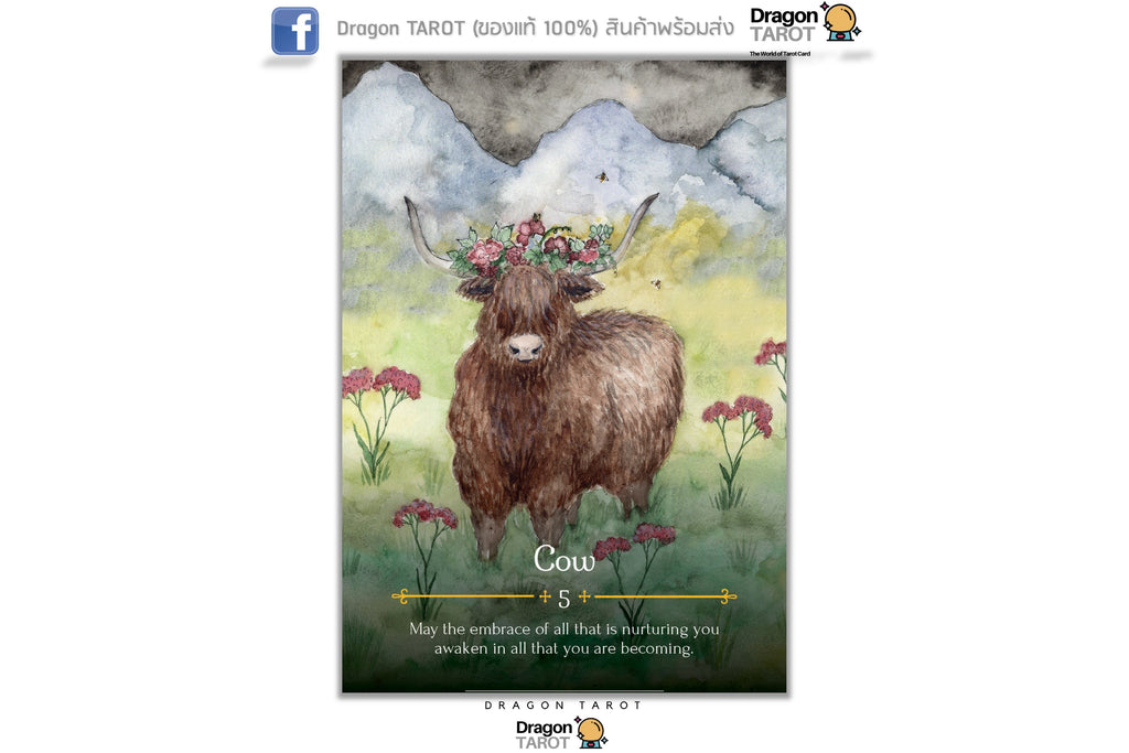 Seasons of the Witch: Beltane Oracle ไพ่ขอบทอง | ไพ่ออราเคิล