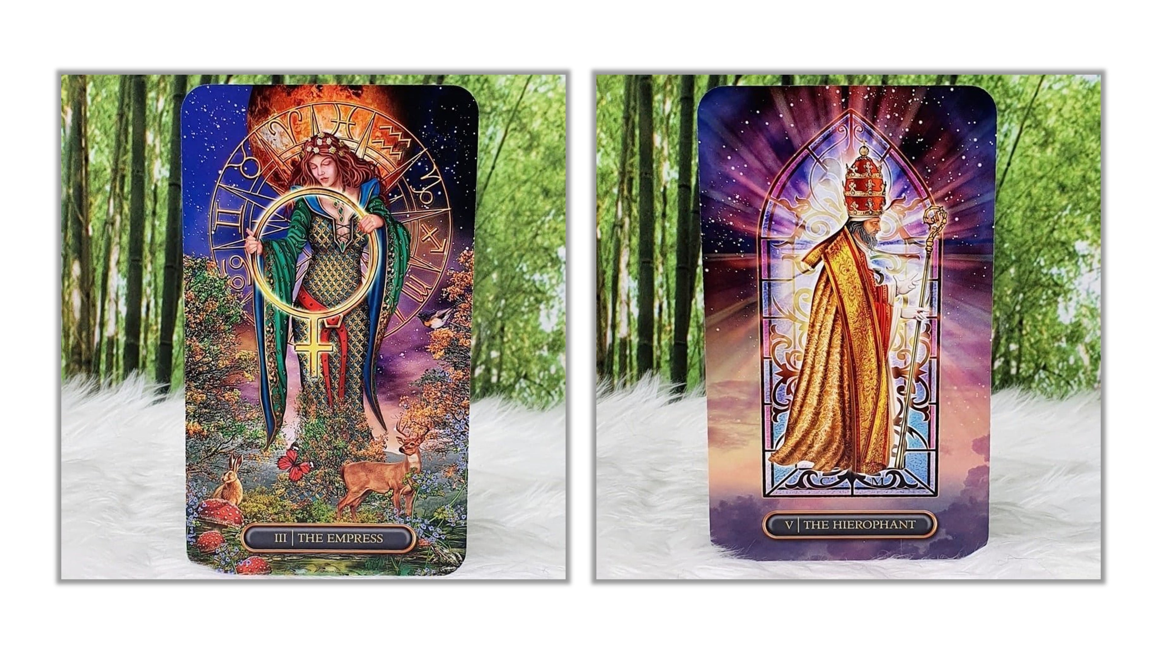 Two illustrated tarot-style cards shown side by side on a white furry surface with a blurred green forest background. The left card depicts a crowned woman in a green cloak holding a staff, with the text 'ALL THE POWER'.