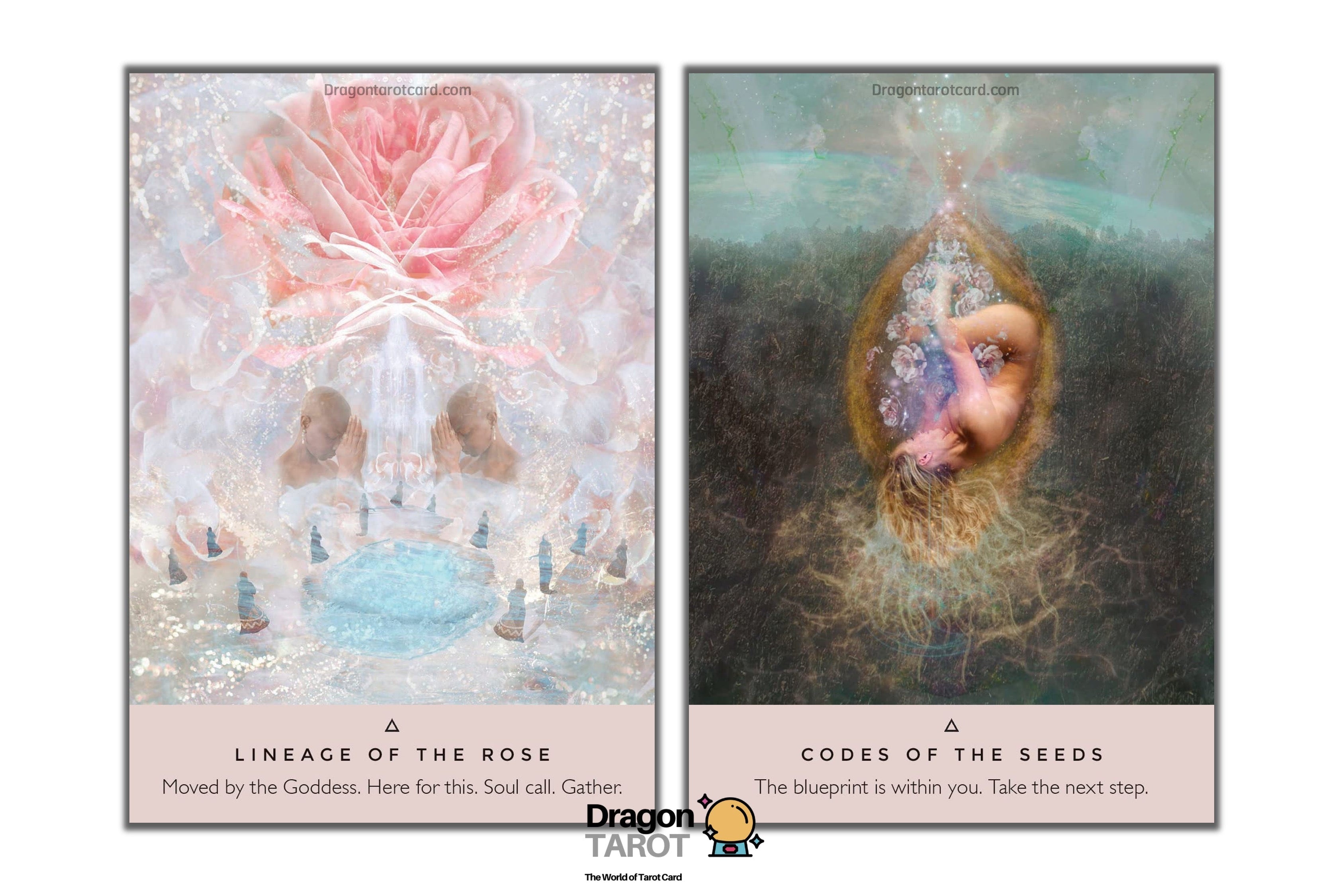 Rose Oracle: A 44-Card Deck and Guidebook, The | ไพ่ออราเคิล