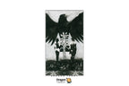 Murder of Crows Tarot | ไพ่ทาโรต์