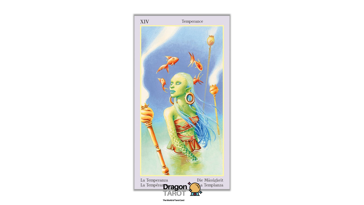 Fey Tarot | ไพ่ทาโรต์