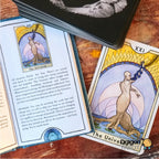The New Chapter Tarot | ไพ่ทาโรต์