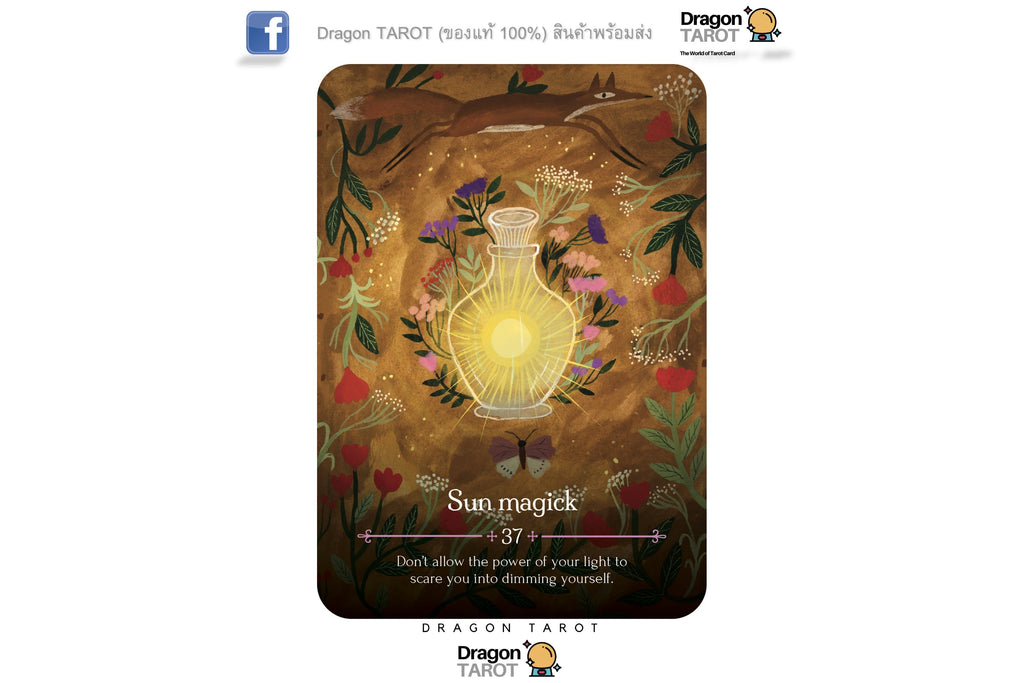 Seasons of the Witch: Litha Oracle ไพ่ขอบม่วง | ไพ่ออราเคิล