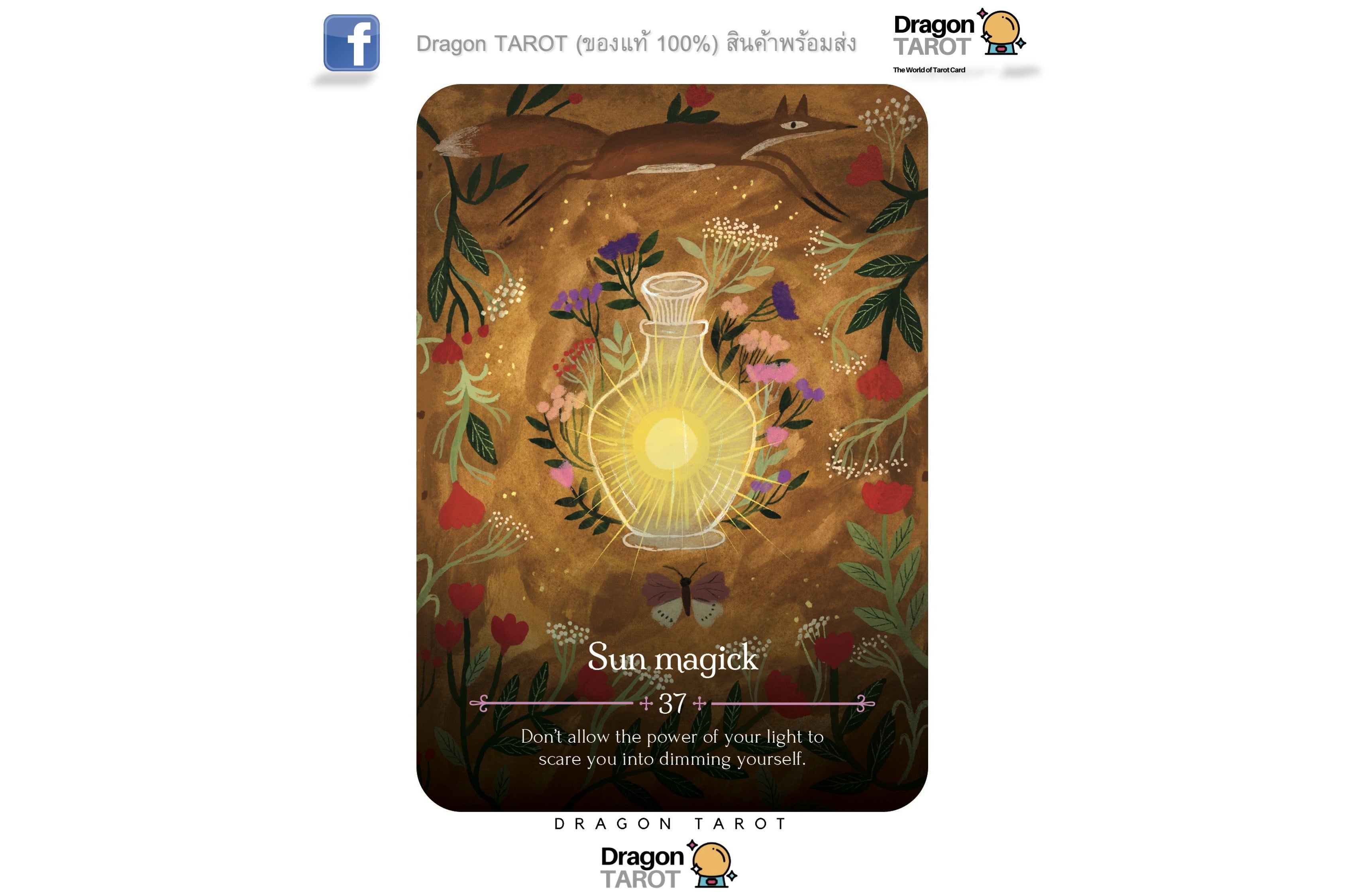 Seasons of the Witch: Litha Oracle ไพ่ขอบม่วง | ไพ่ออราเคิล