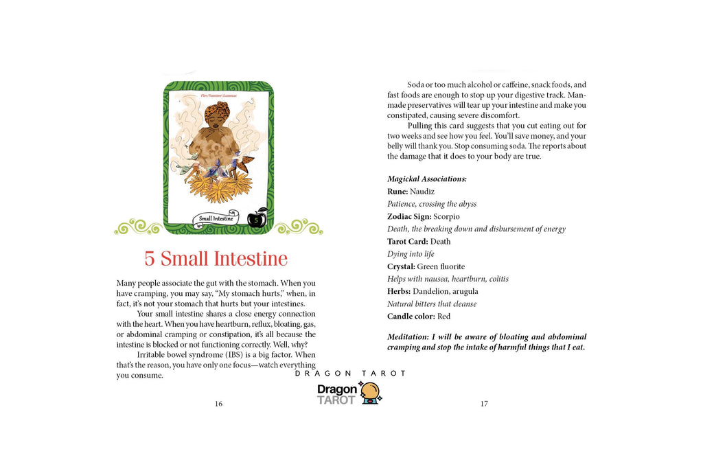 A printed Dragon TAROT tarot card guide page showing the 'Small Intestine' card design, English and Thai text, a small illustration of the card, and a list of meanings and associations.