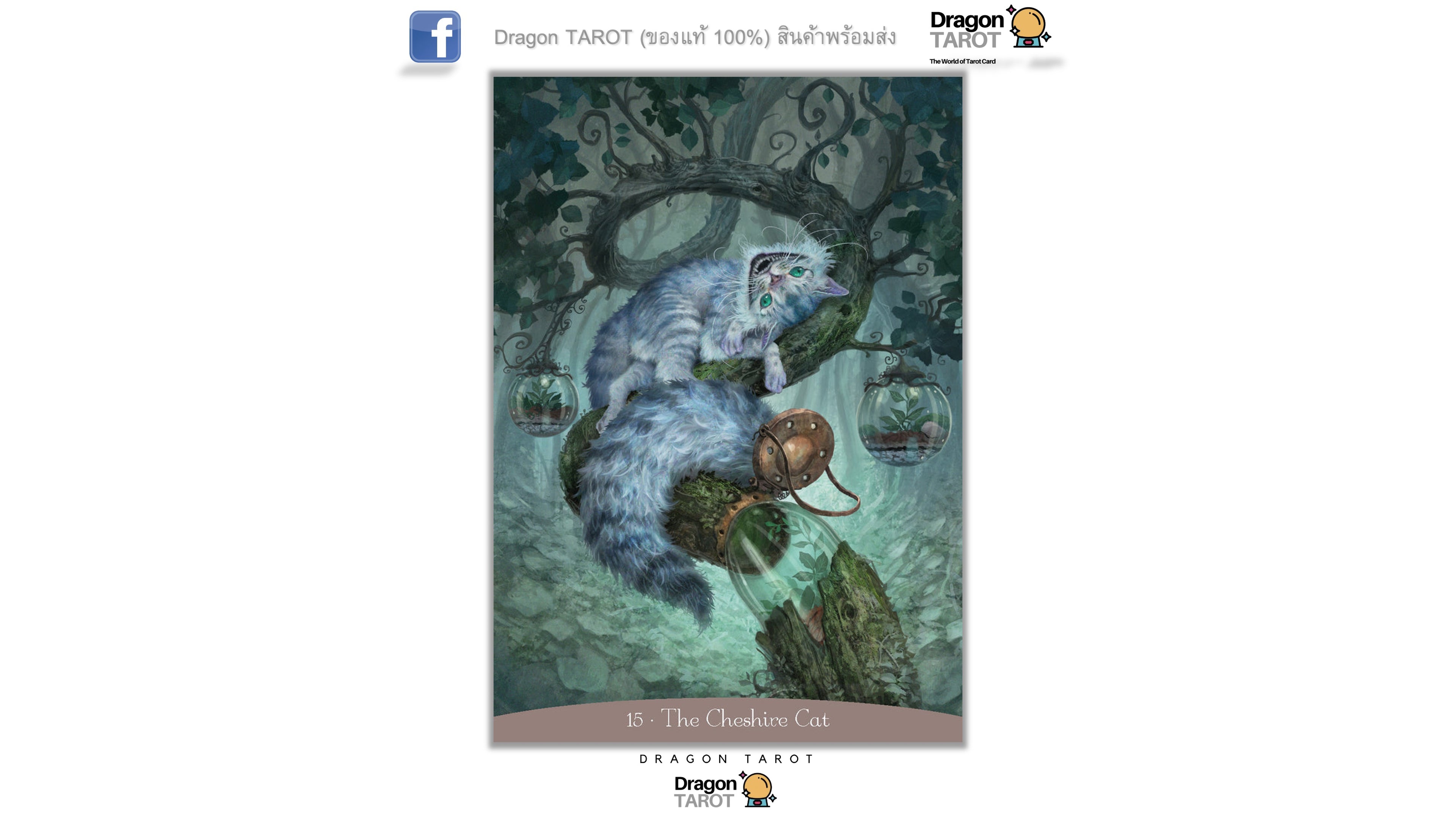 Alice in Wonderland Oracle | ไพ่ออราเคิ