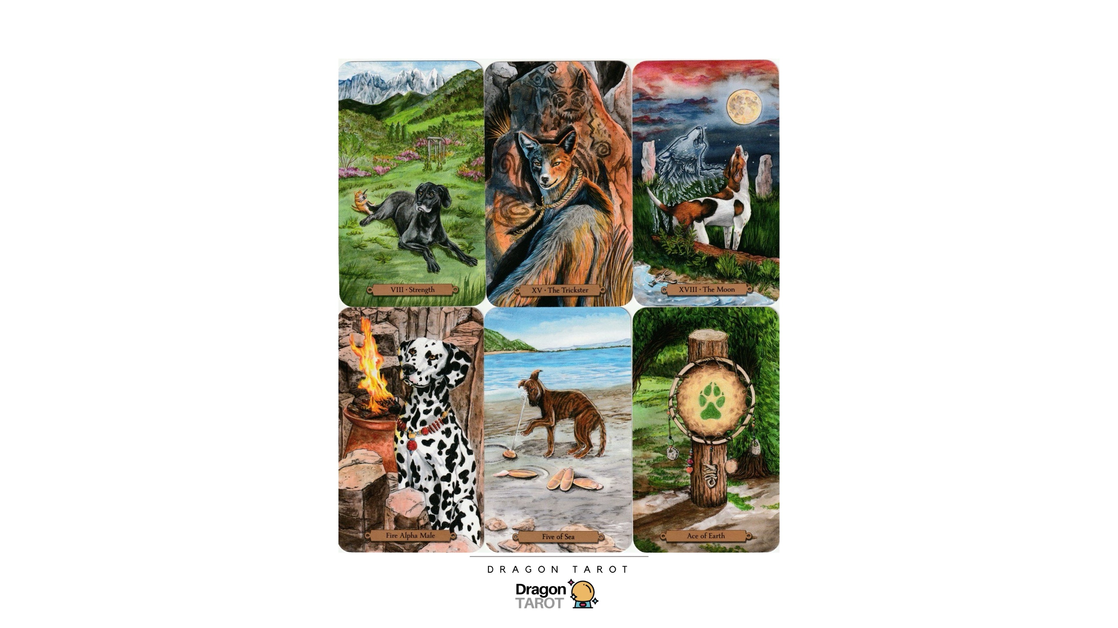Magical Dogs Tarot | ไพ่ทาโรต์
