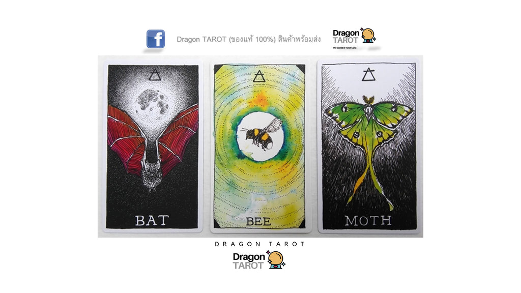 Wild Unknown Animal Spirit Deck and Guidebook, The | ไพ่ออราเคิล พร้อมหนังสือคู่มือ