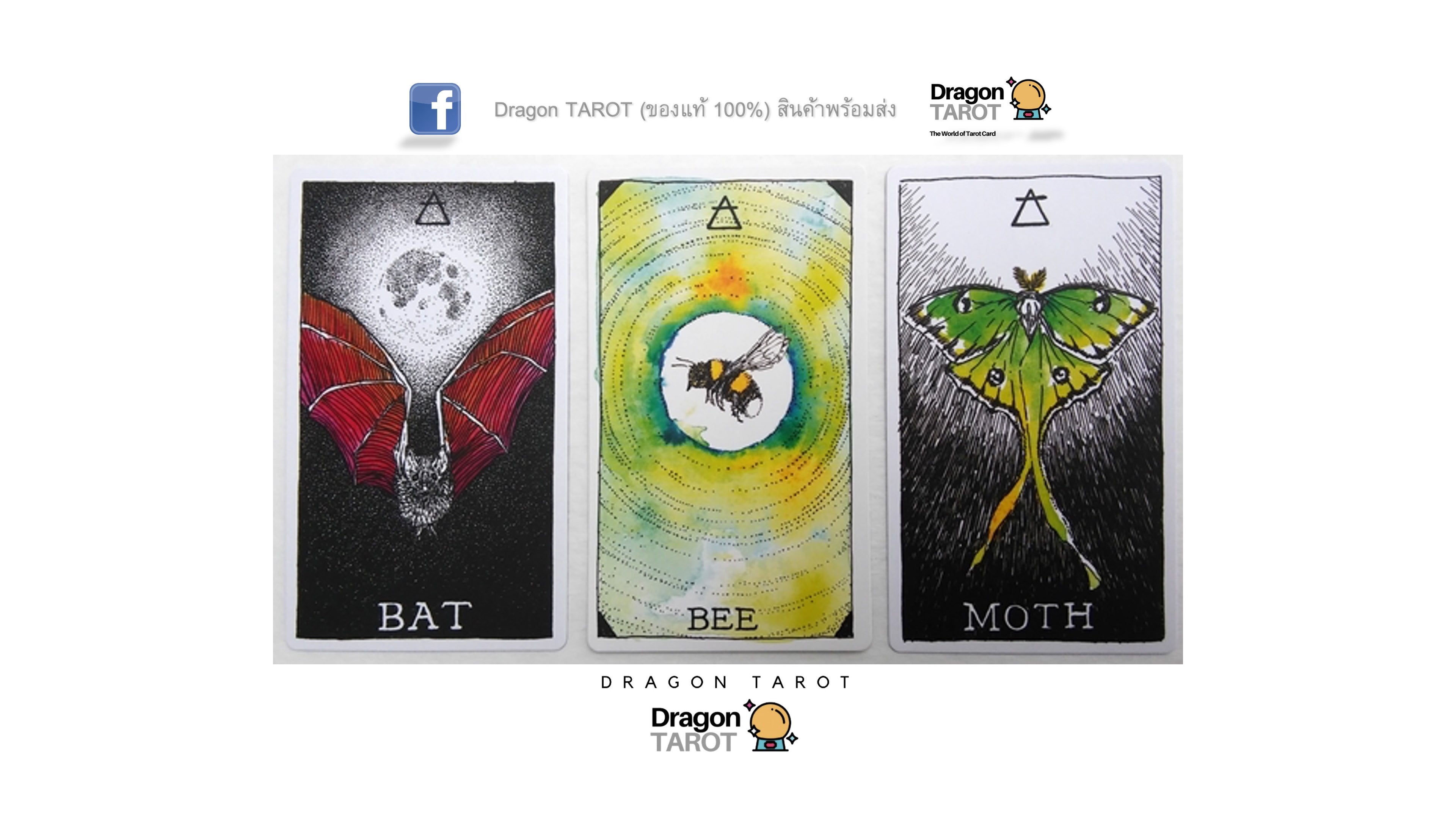 Wild Unknown Animal Spirit Deck and Guidebook, The | ไพ่ออราเคิล พร้อมหนังสือคู่มือ