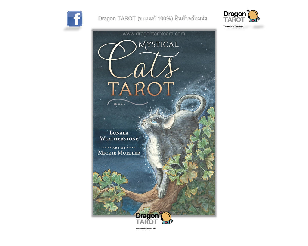 Mystical Cats Tarot card deck box cover shown on a white background with Dragon Tarot branding and social media icons.