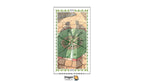 Romantic Tarot | ไพ่ทาโรต์