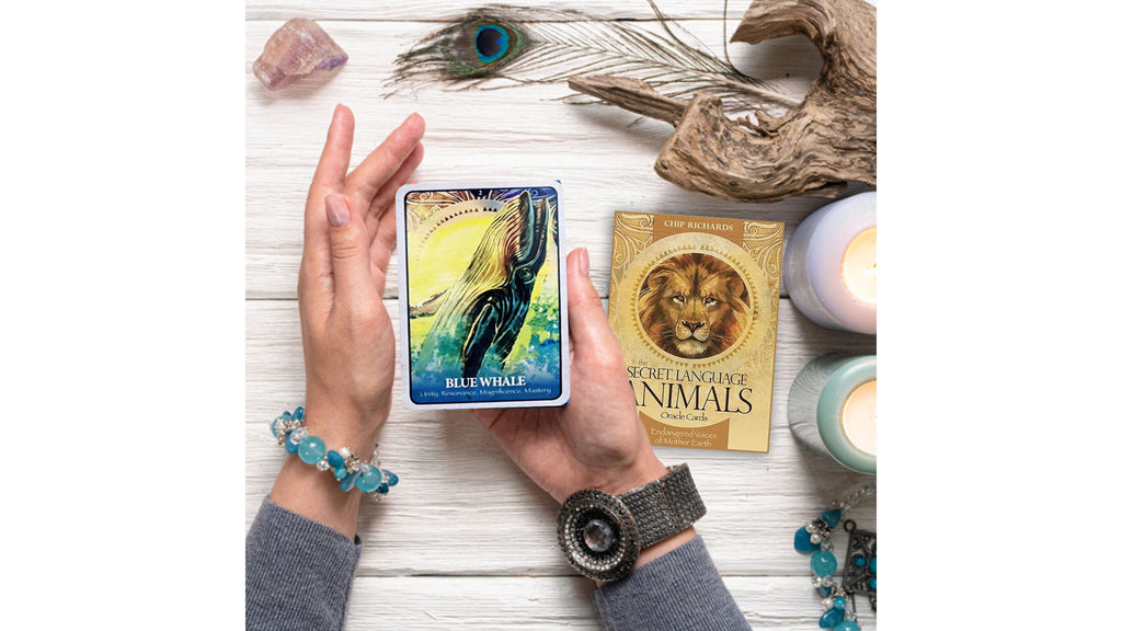 Secret Language of Animals Oracle Cards, The | ไพ่ออราเคิล
