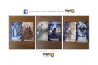 Three Dragon Tarot cards displayed on a wooden surface, featuring illustrated designs of a fish, a boat, a cat in a room, and a cat portrait. The Dragon Tarot brand logo is visible at the top and bottom of the image.