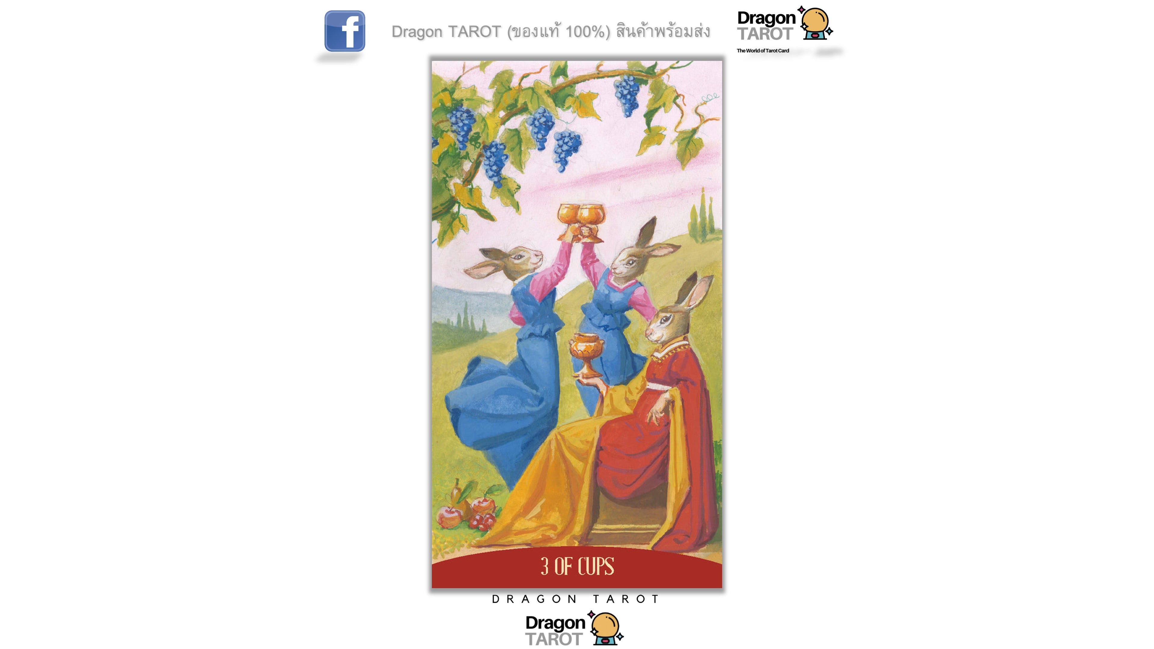 Royal Animals Tarot | ไพ่ทาโรต์