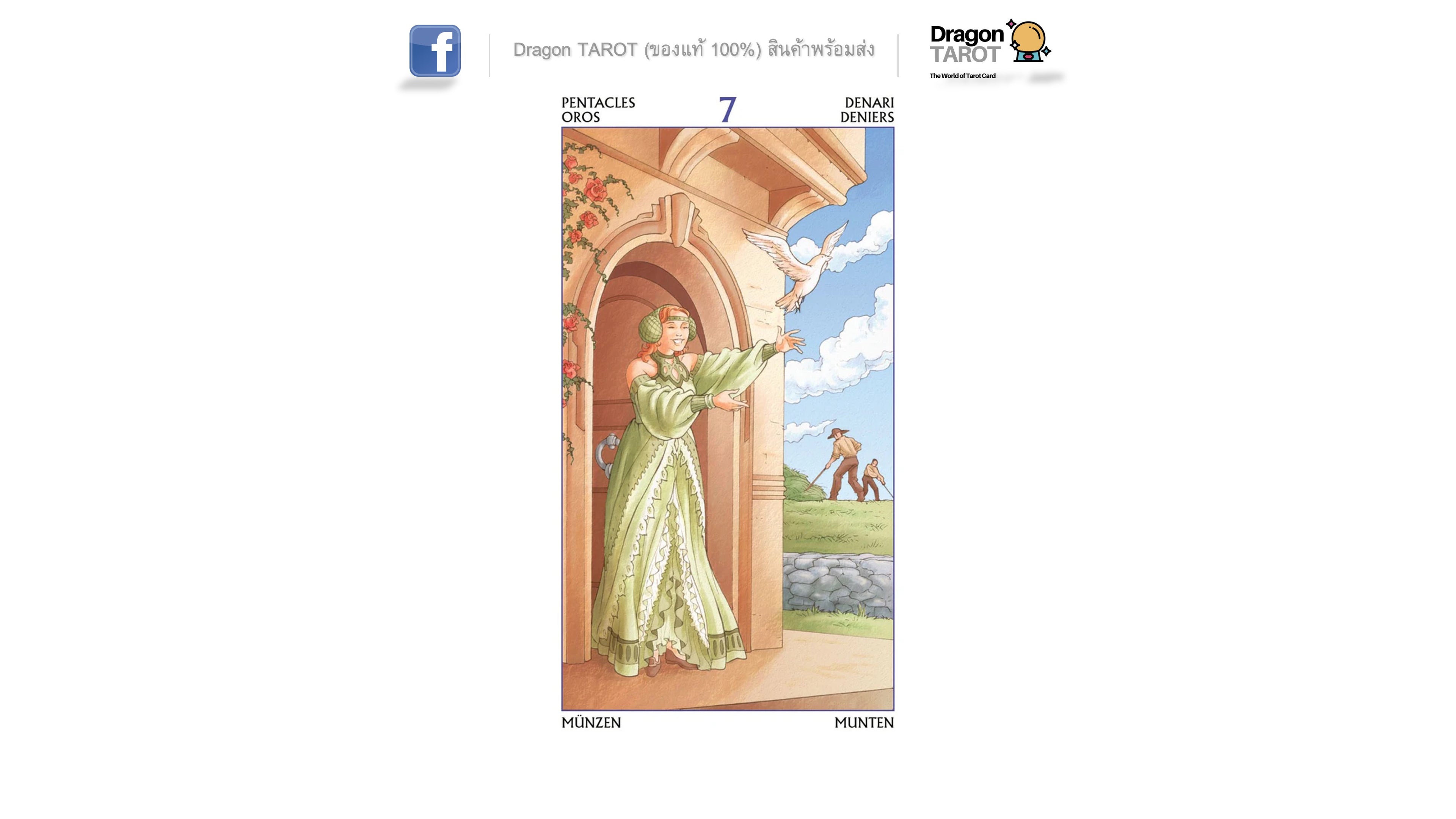 Tarot of the 78 Doors | ไพ่ทาโรต์